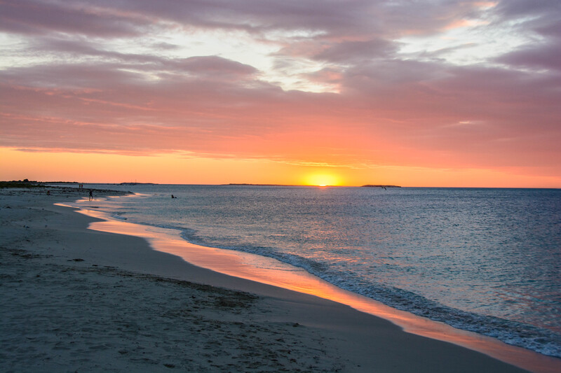 Western Australia 2013 2/2